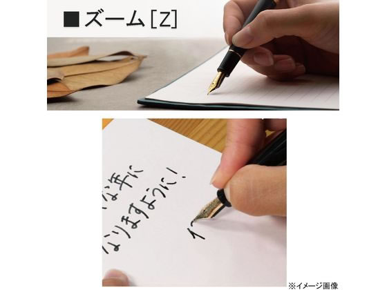 セーラー 万年筆 プロフィット スタンダード21 ブラック Z