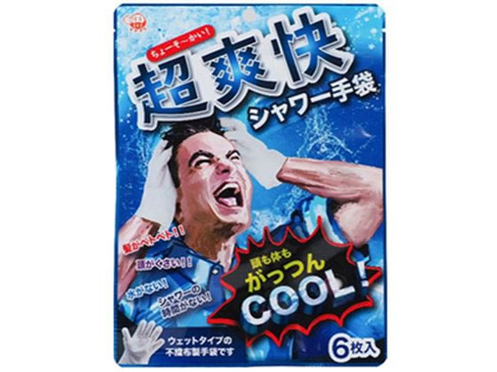 本田洋行 超爽快シャワー手袋 6枚入