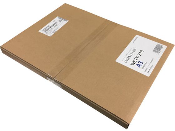 剤 [U[s[` WETY-210 A3 100 WETY210A3