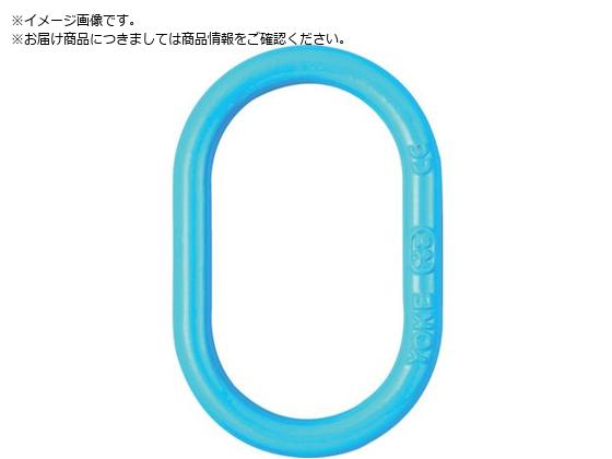 ●基本使用荷重（ｔ）：５．４●適合チェーン線径（ｍｍ）１本吊：１３●タイプ：ワイヤーロープ向き●寸法（ｍｍ）ａ：９０●寸法（ｍｍ）ｄ：１９●寸法（ｍｍ）ｐ：１５０●グレード１００マスターリンク●ＡＳＴ