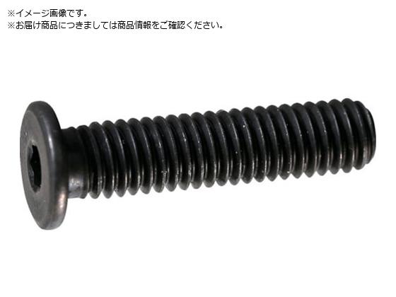 TRUSCO ᓪLbv{g X`[ M8~10 4{ Zpt{g CAP Y153-0810