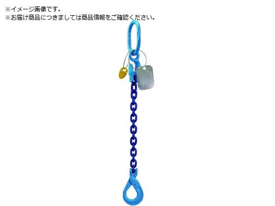 ●基本使用荷重（ｔ）：３．２●チェーン線径（ｍｍ）：１０●有効長ｌ（ｍ）：３●タイプ：１本吊り●マスターリンク寸法（ｍｍ）ａ：９５●マスターリンク寸法（ｍｍ）ｂ：１９●ロッキングフック寸法（ｍｍ）ｃ：