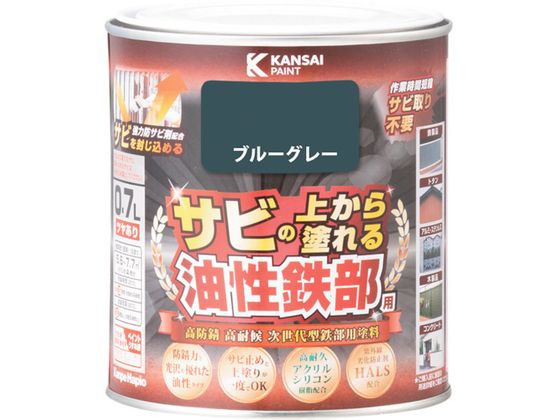 KANSAI SpS u[O[ 0.7L 00 357640371007