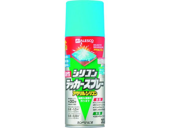 KANSAI VRbJ[Xv[ XJCu[ 300ML 00 587640642300