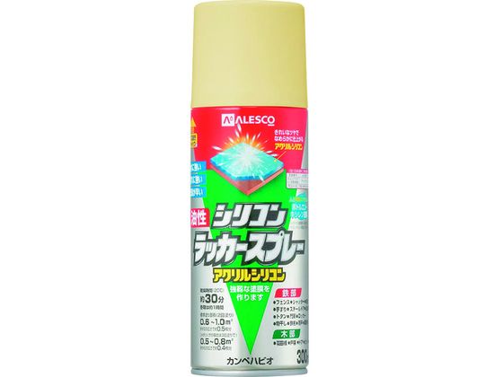 KANSAI VRbJ[Xv[ N[ 300ML 00 587644042300