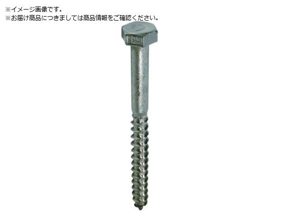DAIDOHANT ステンレス コーチスクリュー 1¥1×¥20 17頭 1本 10102879 DAIDOHANT ステンレス コーチスクリュー 1¥1×¥20 17頭 1本 10102879