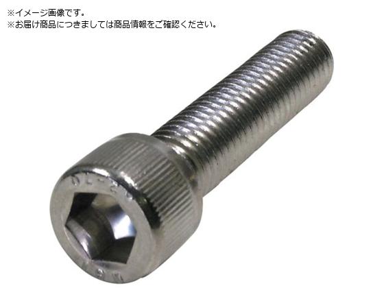 DAIDOHANT HP ステンレス六角穴付ボルト 6×40 2本入 10184619 DAIDOHANT HP ステンレス六角穴付ボルト 6×40 2本入 10184619