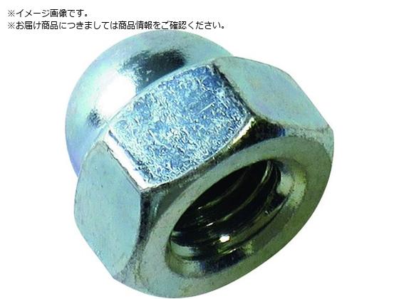 DAIDOHANT HP ユニクロ袋ナット M10 2個入 10184685 DAIDOHANT HP ユニクロ袋ナット M10 2個入 10184685