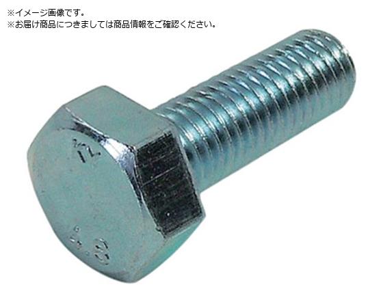 DAIDOHANT HP ユニクロ六角ボルト 10X25 2本入 10187016 DAIDOHANT HP ユニクロ六角ボルト 10X25 2本入 10187016