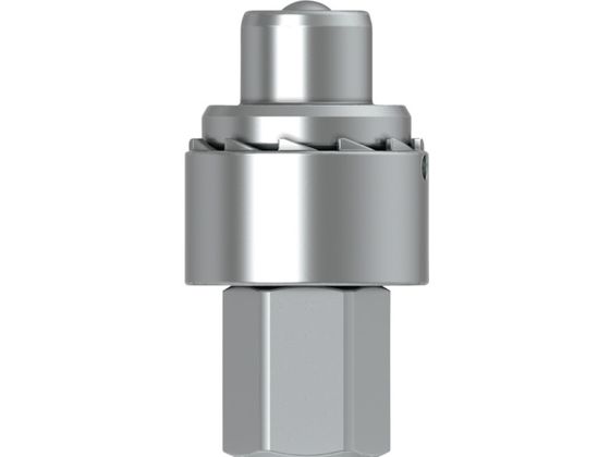 CEJN V[Y232 XN[^Cvjbv eB[XbNt Ča6.3mm NPT1 4lW 10-232-6442