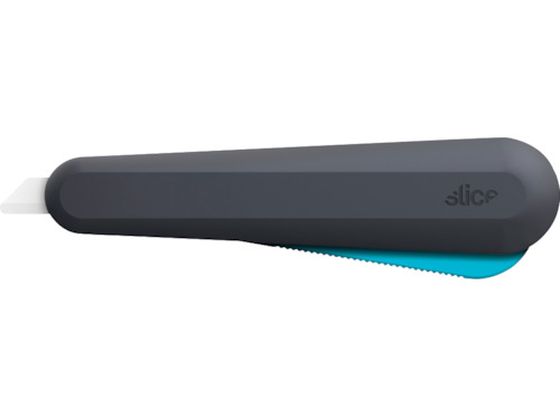 slice [eBeB[Jb^[iCtGSObv 10564