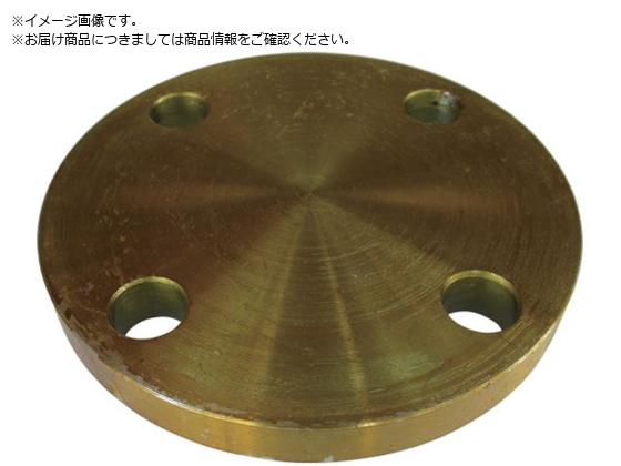 ISHIGURO 黒 閉止フランジ BL-FF型 SS400相当 10K 呼び径 A 65 10BL-F65A ISHIGURO 黒 閉止フランジ BL-FF型 SS400相当 10K 呼び径 A 65 10BL-F65A