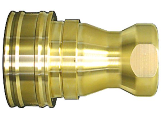 SPJv ^CvA ^イ ӂfSFKM X-100 19119 10S-A BRASS FKM