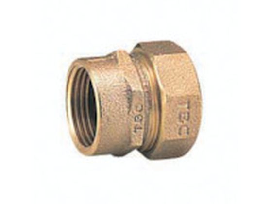 TBC PEp蕪~p113mm 13PN-1