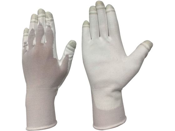 Ag E^w ^b`[NzCg SS 1599 SS