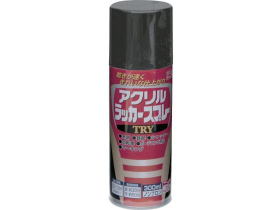 jby ANbJ[Xv[TRY 300ml ubN 222T003-300