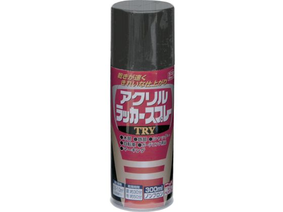 jby ANbJ[Xv[TRY 300ml ȂubN 222T004-300