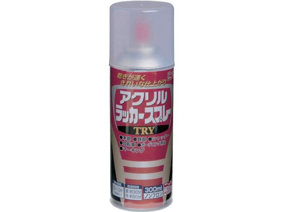 jby ANbJ[Xv[TRY 300ml N[ 222T005-300