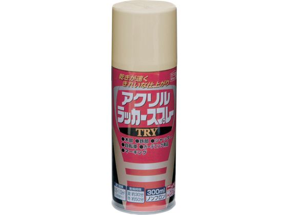 jby ANbJ[Xv[TRY 300ml N[ 222T011-300