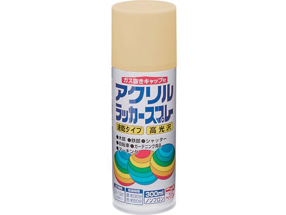 jby ANbJ[Xv[ 300ml N[ HWE020-300