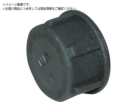 IWA  PP  Lbv 49CAP15P