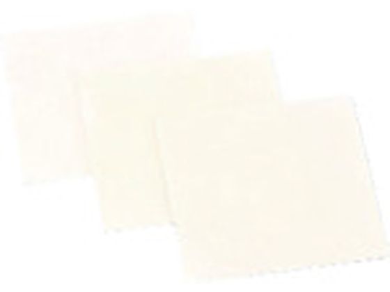 ナカニシ ダイヤフィルムシート 100×100×0.2 #800 56804 ナカニシ ダイヤフィルムシート 100×100×0.2 #800 56804
