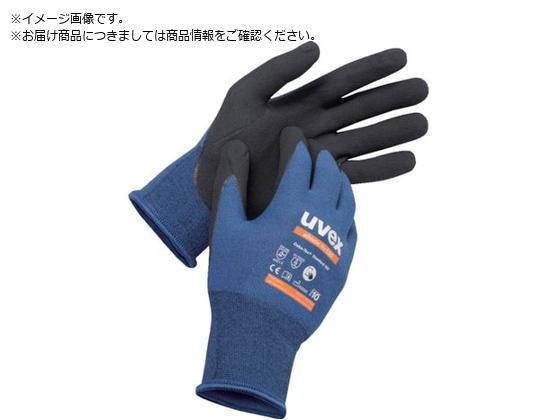 UVEX jgw AXeBbN CgESD XL 6003570