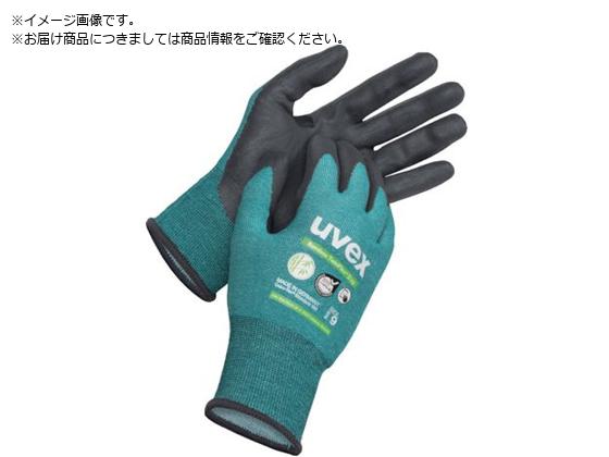 UVEX ou[ cCtbNX JbgD L 6009069