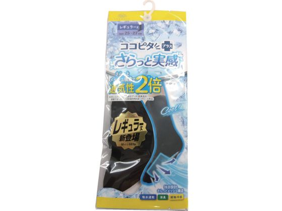 okamoto RRs^Ǝ nN[ 25-27