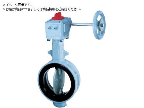 b 700G-2U JIS10K FCD450 SCS14 NBR 125A700G-2U-125-S-N