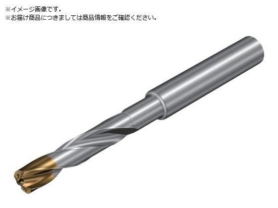 SANDVIK �R���h����860�]GM ���d�\���b�h�h���� 720 X1BM860.1-0420-034A1-GM X1BM 720
