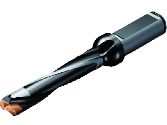 SANDVIK Rh870 wbhh 446 na10.00mm a54.07mm S117mm VNa16mm870-1000-6L16-5 446