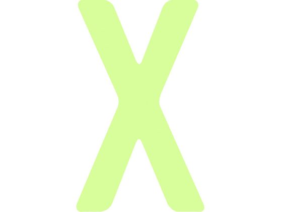 IM 非常用標識 中輝度蓄光カッテイング文字 英字 X 粘着シール IM 非常用標識 中輝度蓄光カッテイング文字 英字 X 粘着シール
