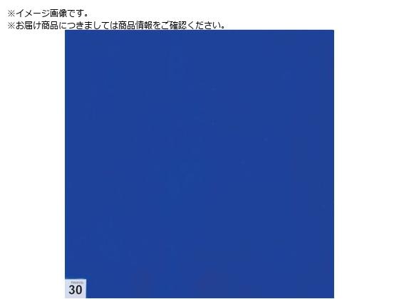 TRUSCO まとめ買い エアーシャワー用粘着シート 穴なし 300X300 30枚 中粘度 青 10シートASSF-3030B-M10 TRUSCO まとめ買い エアーシャワー用粘着シート 穴なし 300X300 30枚 中粘度 青 10シートASSF-3030B-M10