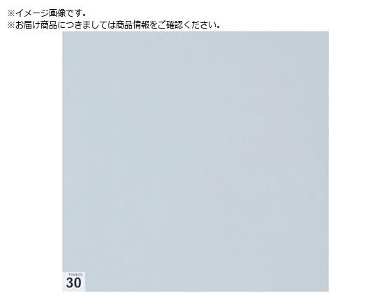 TRUSCO エアーシャワー用粘着シート 穴なし 300X300 30枚 高粘度 白ASSF-3030W TRUSCO エアーシャワー用粘着シート 穴なし 300X300 30枚 高粘度 白ASSF-3030W