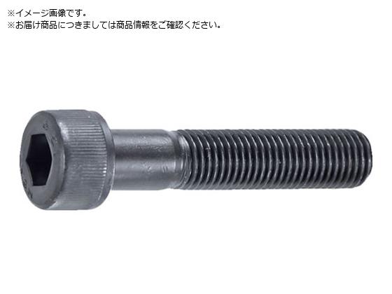 TRUSCO Zpt{g  ז lW M10~55 P1.25 8{ Lbv{g CAP B150-1055P1.25