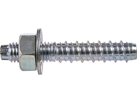 TRUSCO �^�b�v�X�^�[ �X�`�[�� �o�P�c�Z�b�g M10�~60 100�{�� BTTP-1060