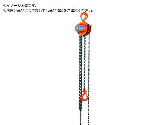 象印 手動チェーンブロック 1t 揚程5m C21 1-5m C2101050 象印 手動チェーンブロック 1t 揚程5m C21 1-5m C2101050