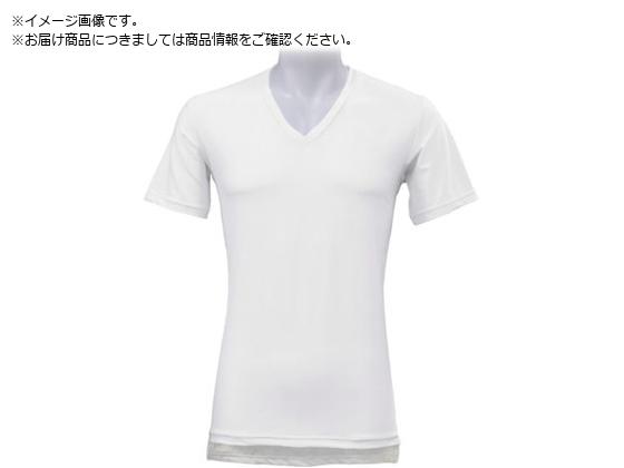 x^  X  fIhCYebN VlbN zCg XL DT-25153151