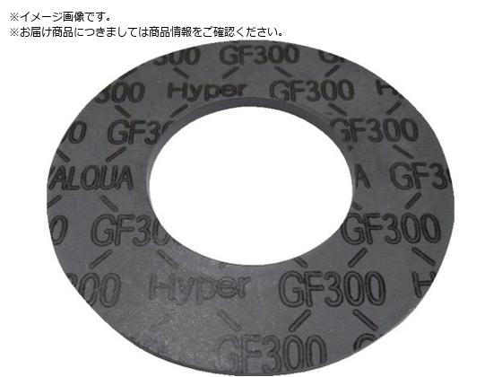 VALQUA ubNnCp[KXPbg Ăьa100A GF300G-J1L100