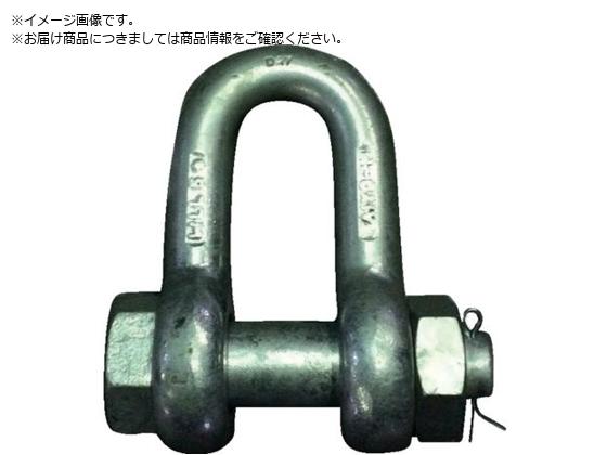 TAIYO JISシャックル M級 ドブ SB-28 3010557 JSB28G TAIYO JISシャックル M級 ドブ SB-28 3010557 JSB28G