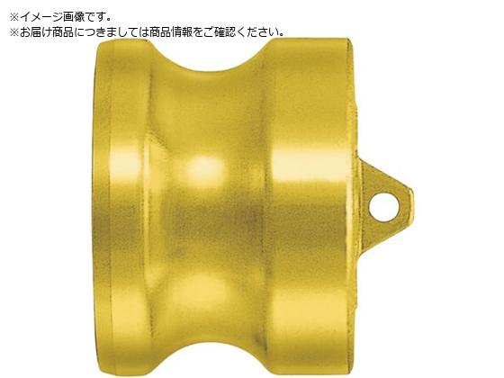日東 レバーロックカプラ ソケット用キャップ 銅合金 相手側取付サイズ2インチ 03229 L-16SD-BR 日東 レバーロックカプラ ソケット用キャップ 銅合金 相手側取付サイズ2インチ 03229 L-16SD-BR