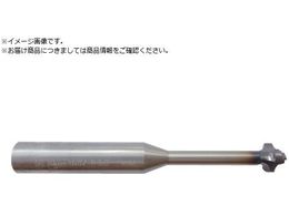 �E�H�[�^�[�~���Y ��������R�`�����t�@�[�~���YR2.5 10.��1�~��200TiAlCN WMRC12109L35R25