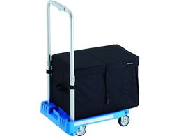 TRUSCO  JeBI~j weego ȉԗ u[ THBt