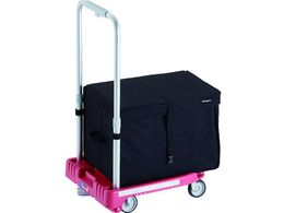 TRUSCO  JeBI~j weego ȉԗ sN