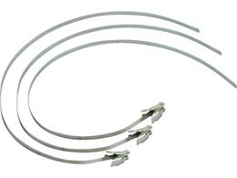 JAPPY XeXohZbg 10{ WST10NJP06M