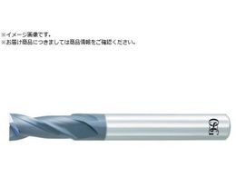 OSG ���d�G���h�~�� WXL 2�n 2.0D�n�� 3182012 WXL-2D-DE-1.2 3182012