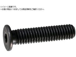 TRUSCO ���ᓪ�L���b�v�{���g �X�`�[�������� M6�~10 9�{�� �Z�p���t�{���g CAP Y153-0610