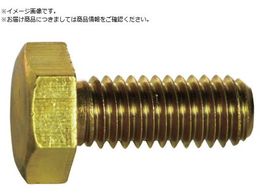 TRUSCO �Z�p�{���g ���� �S�l�W M5�~40 11�{�� Y501-0540