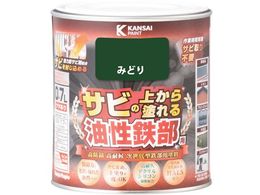 KANSAI SpS ݂ǂ 0.7L 00 357640061007